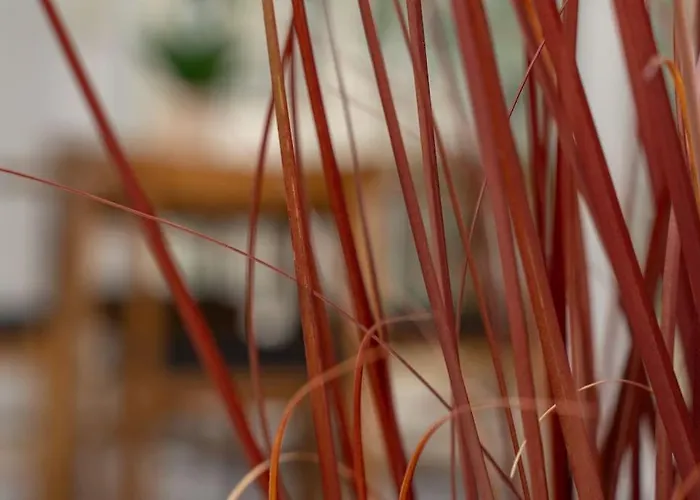 Apartman Mare Al Mare *