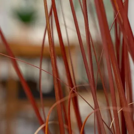 Apartment Mare Al Mare *