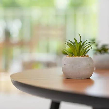 アパート Mare Al Mare ドゥブロブニク